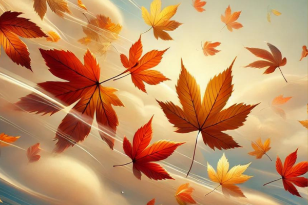 20 Fall Wallpapers for iPhone