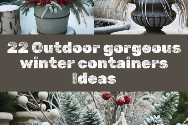 22 Outdoor gorgeous winter containers Ideas